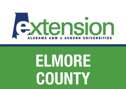 Food Preservation and Canning Safety Tips: