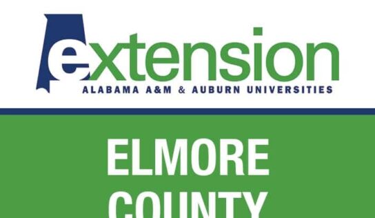 Food Preservation and Canning Safety Tips: