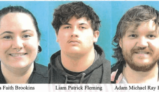 Prattville toddler found wandering near busy street, police arrest 3 adults