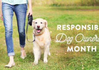 September is Responsible Dog Ownership Month!