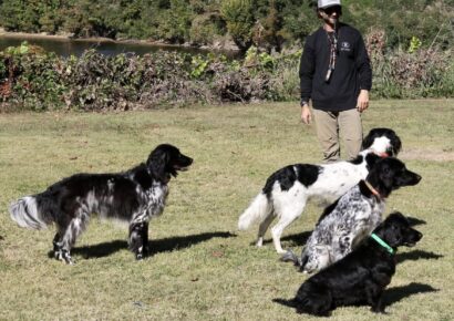 2025 Wetumpka Wildlife Arts Festival offers multiple sporting dog demonstrations