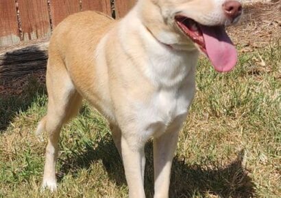 Honey Bun is as sweet as her name