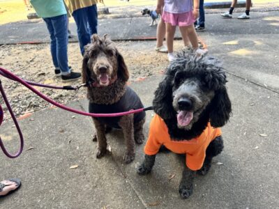 Pet lovers flock to PAHS Pet Palooza at Cooters Pond Park