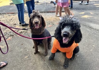 Pet lovers flock to PAHS Pet Palooza at Cooters Pond Park