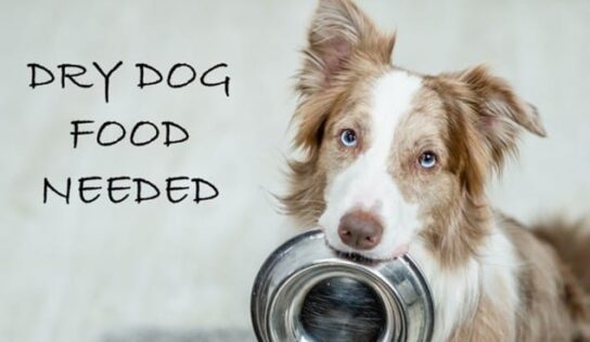 Donations to Local Humane Shelters will earn you half price admission to Alabama National Fair