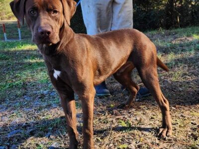 Buccee is ready for a friend.