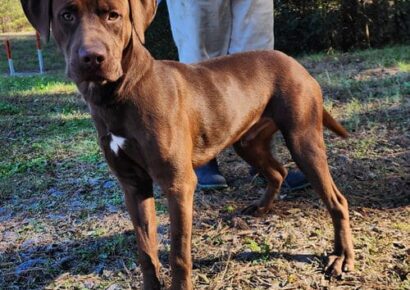 Buccee is ready for a friend.