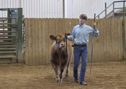 Three Billingsley FFA members receive Supervised Agricultural Experience grants