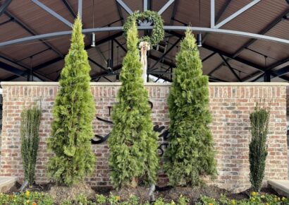 Prattville Council sets naming procedures for municipal properties, addresses sign at 124 West Main Street