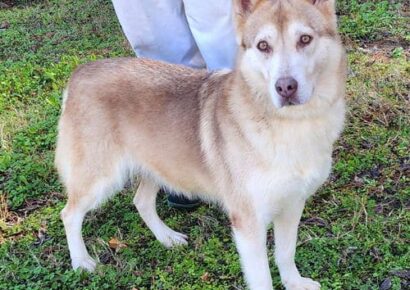 Punkin is sweet and playful!