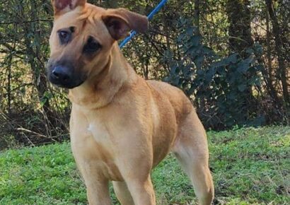 Anyone would be lucky to have Mercy!