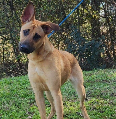 Anyone would be lucky to have Mercy!