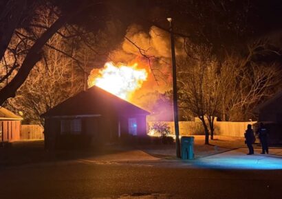 Family, dogs escape early morning Millbrook house fire; no injuries reported