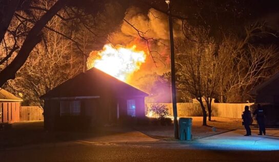 Family, dogs escape early morning Millbrook house fire; no injuries reported