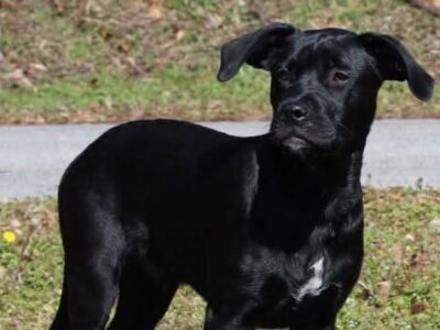 General has beauty, brains and a whole lot of love to give!