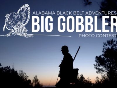 ALBBAA launches Big Gobbler Photo Contest for 2026 turkey season