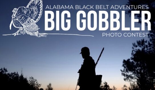ALBBAA launches Big Gobbler Photo Contest for 2026 turkey season