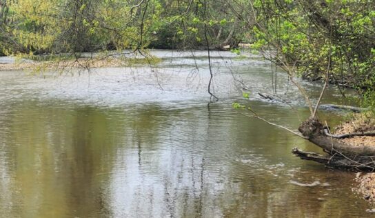 Mortar Creek’s history flows through centuries of life in Elmore County