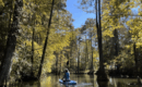 Dangerous blockage reported along Autauga Creek Canoe Trail ahead of Memorial Day weekend