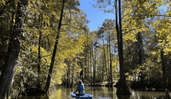 Dangerous blockage reported along Autauga Creek Canoe Trail ahead of Memorial Day weekend